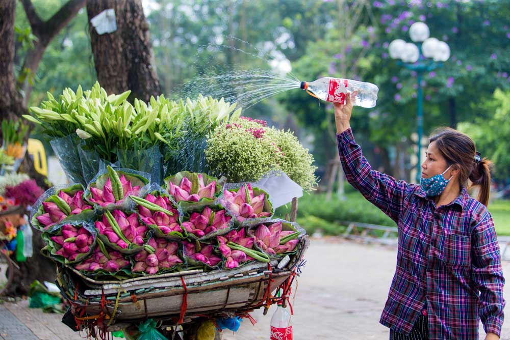 Hanoi Flower Vendor
