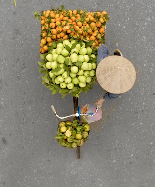 Hanoi Fruit Vendor