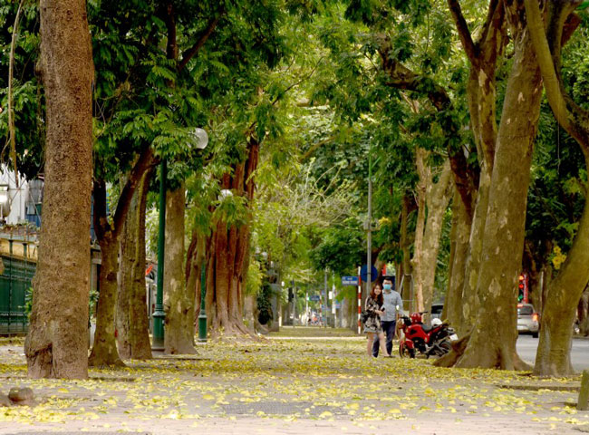 Weekend in French Quarter, Hanoi 