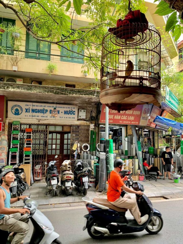 Bird Cage on Thuoc Bac Street