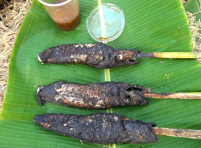 Grilled snakehead fish